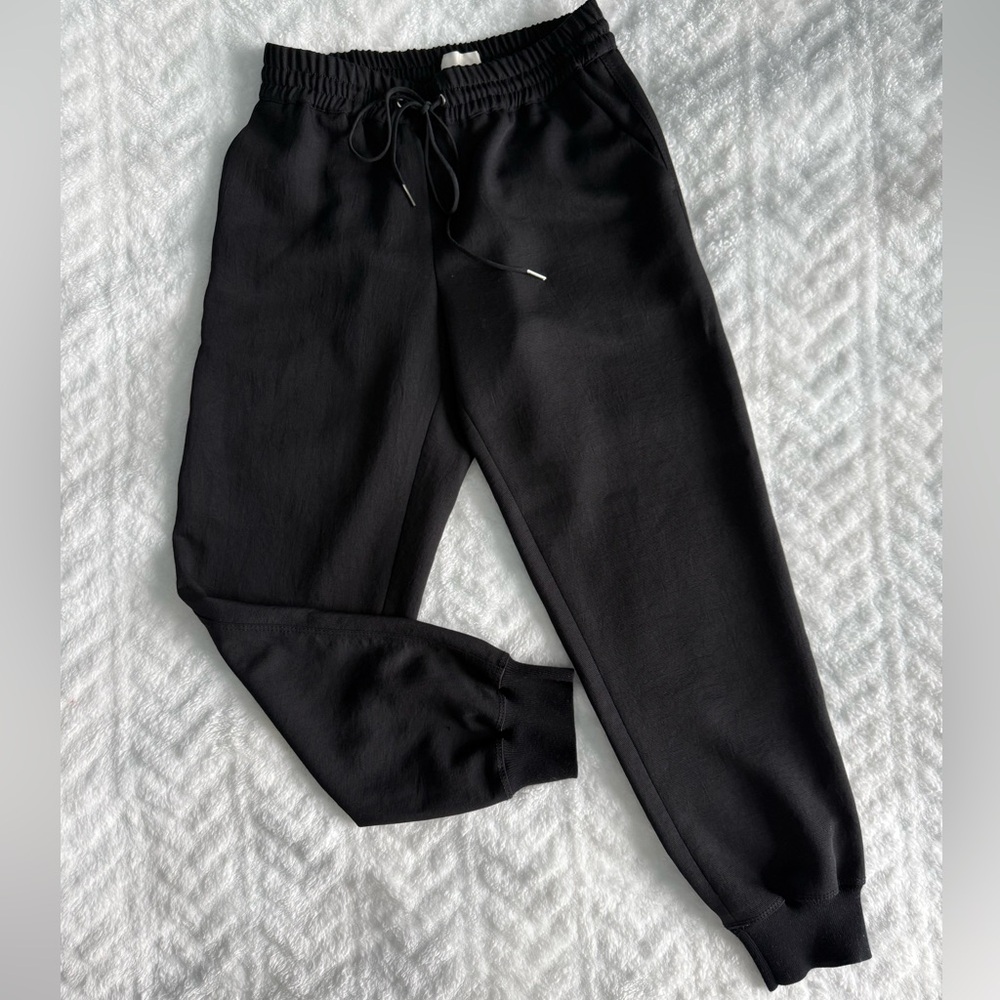 Aritzia Wilfred Jogger Pant